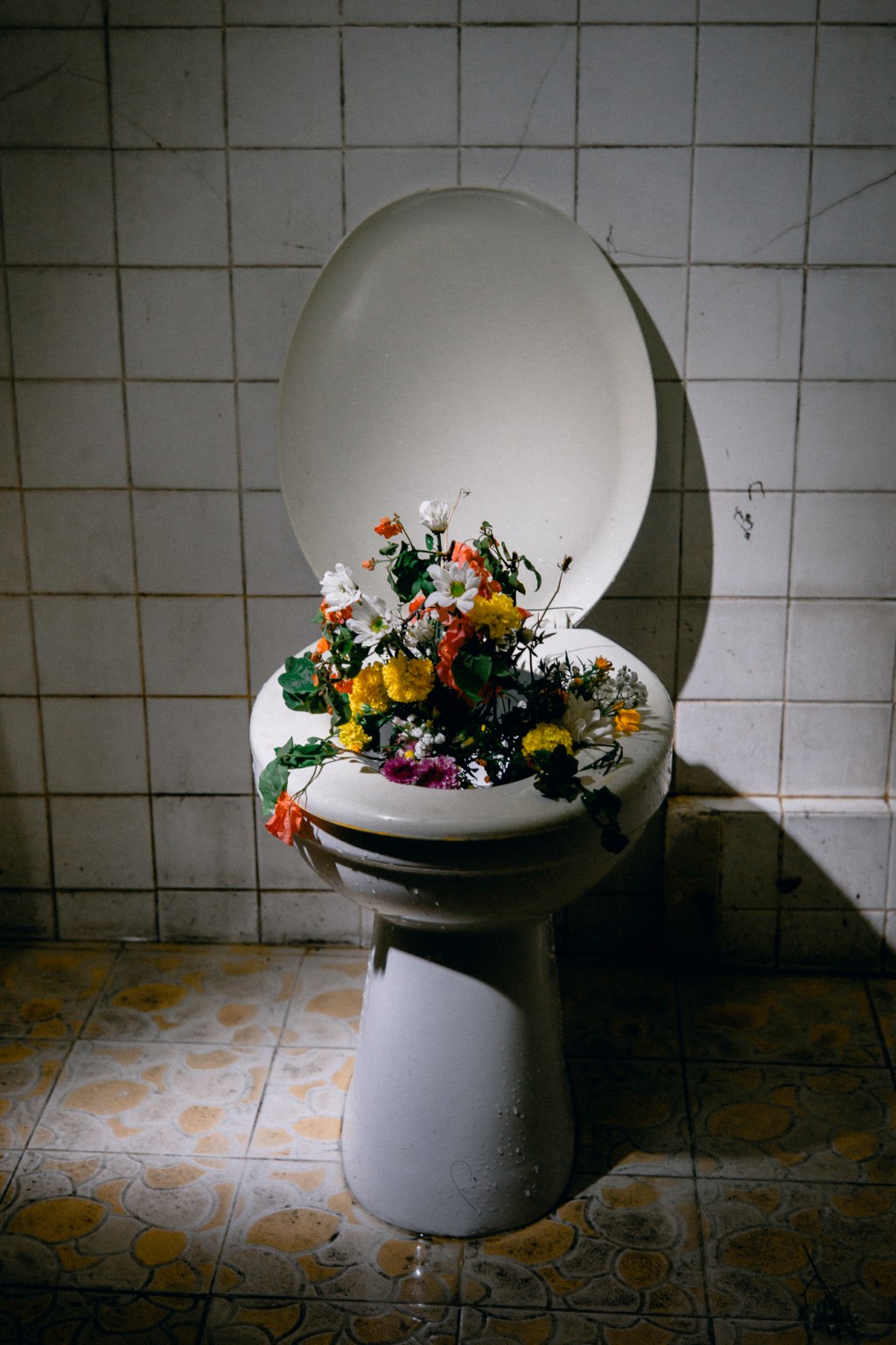 From the Dirt, a&nbsp;Bloom