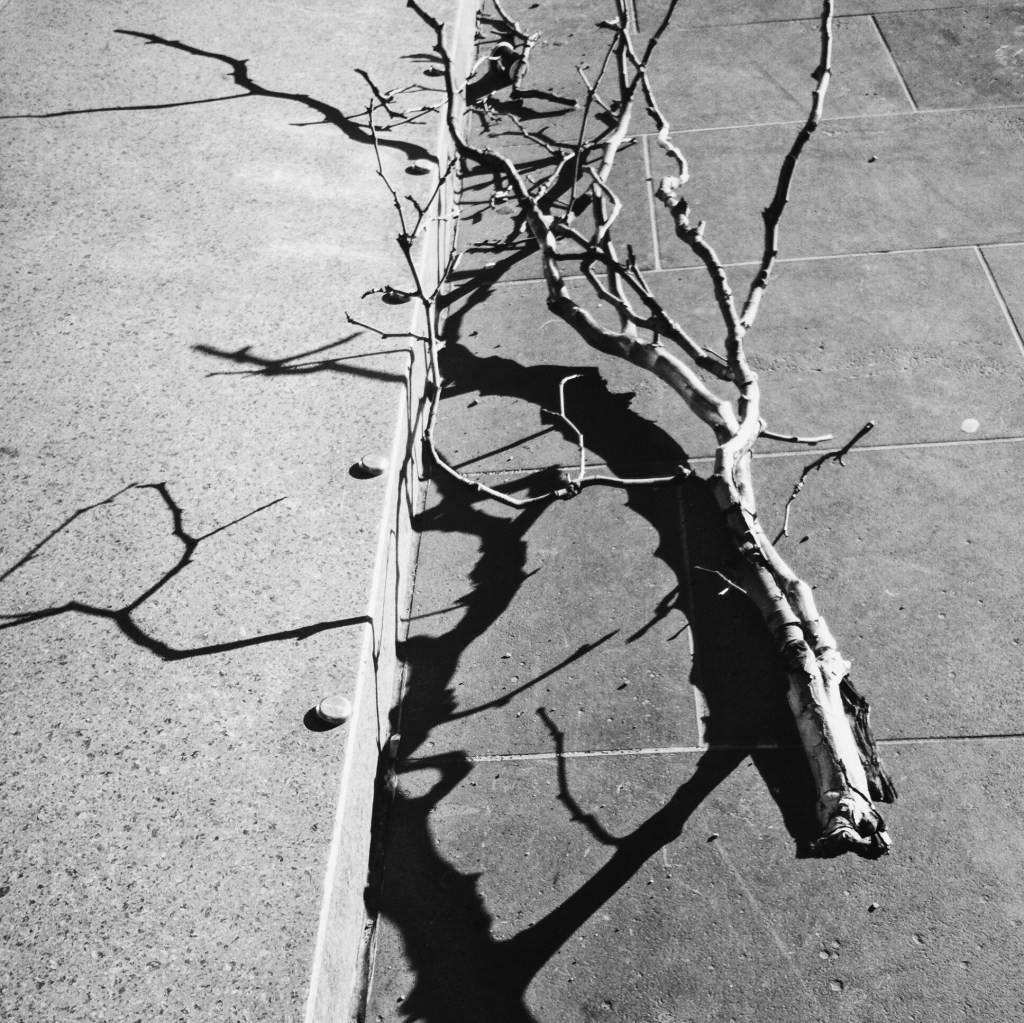 Trace Without a&nbsp;Strike